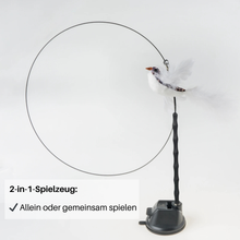 Lade das Bild in den Galerie-Viewer, EmotionJump Katzenspielzeug – handfreier Spielspaß (25% Rabatt)
