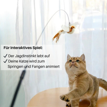Lade das Bild in den Galerie-Viewer, EmotionJump Katzenspielzeug – handfreier Spielspaß (25% Rabatt)
